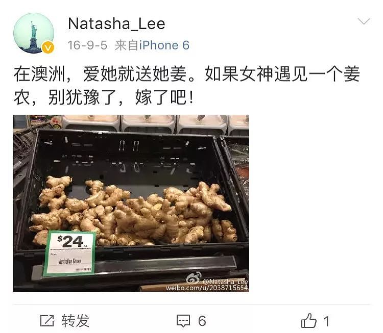 一只“鸡腿”让澳华人集体羡慕！中国姑娘第一次来澳，刚进超市就哭了…（组图） - 32
