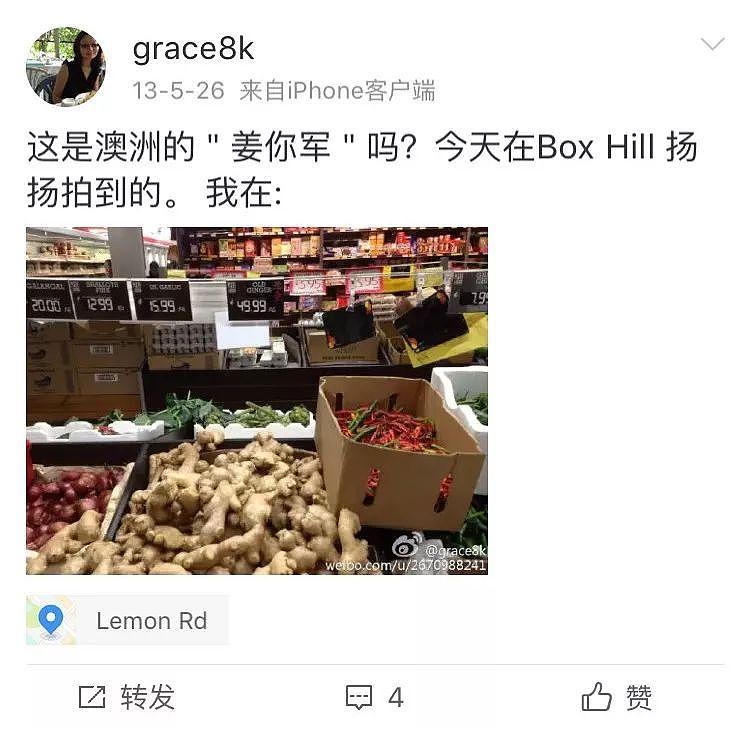 一只“鸡腿”让澳华人集体羡慕！中国姑娘第一次来澳，刚进超市就哭了…（组图） - 38