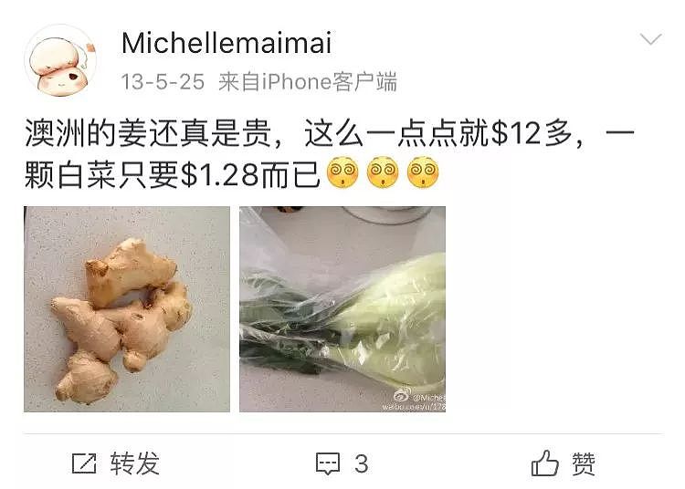 一只“鸡腿”让澳华人集体羡慕！中国姑娘第一次来澳，刚进超市就哭了…（组图） - 39