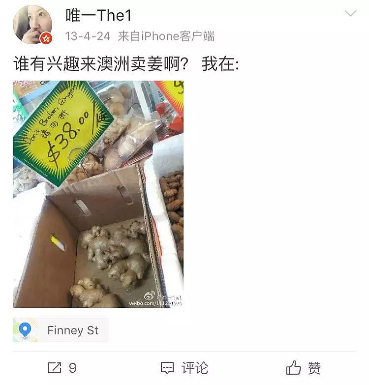 一只“鸡腿”让澳华人集体羡慕！中国姑娘第一次来澳，刚进超市就哭了…（组图） - 41