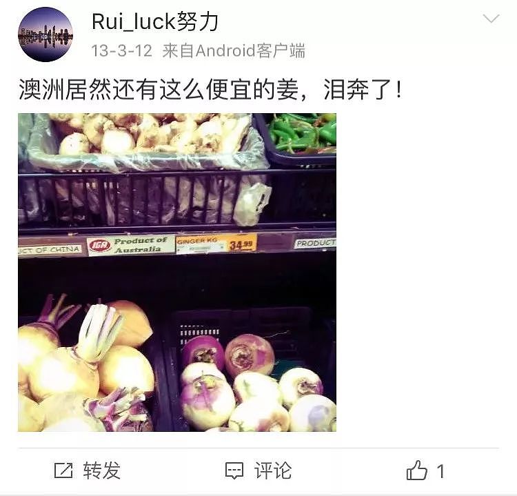 一只“鸡腿”让澳华人集体羡慕！中国姑娘第一次来澳，刚进超市就哭了…（组图） - 45