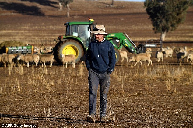 Many farmers have been hit hard by the drought in New South Wales and have lost money from flop harvestsÂ 