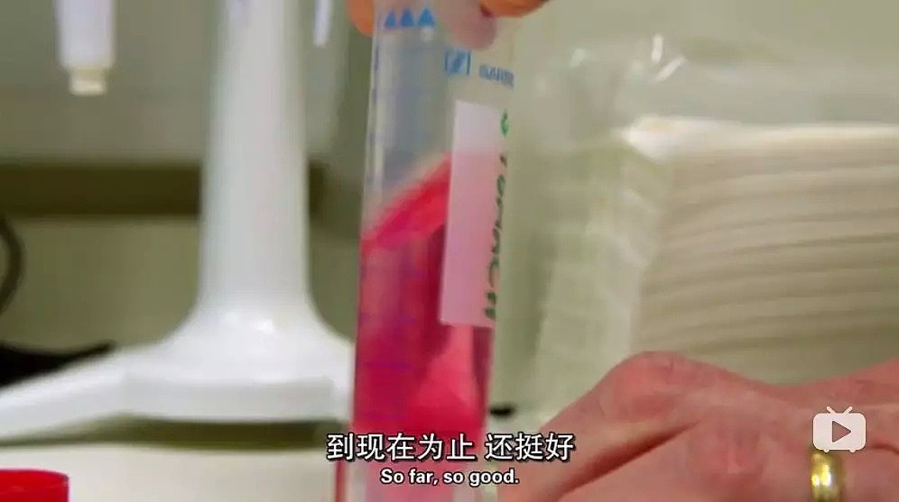 BBC劲爆纪录片：蔬果汁有害！培根比酸奶更健康？ N多健康食品被啪啪打脸 - 157