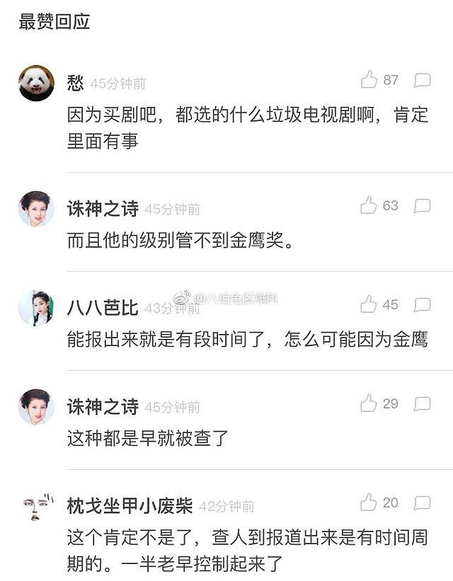 湖南卫视摊上事了？副台长被查，网友：金鹰节太水早该被查了（组图） - 5