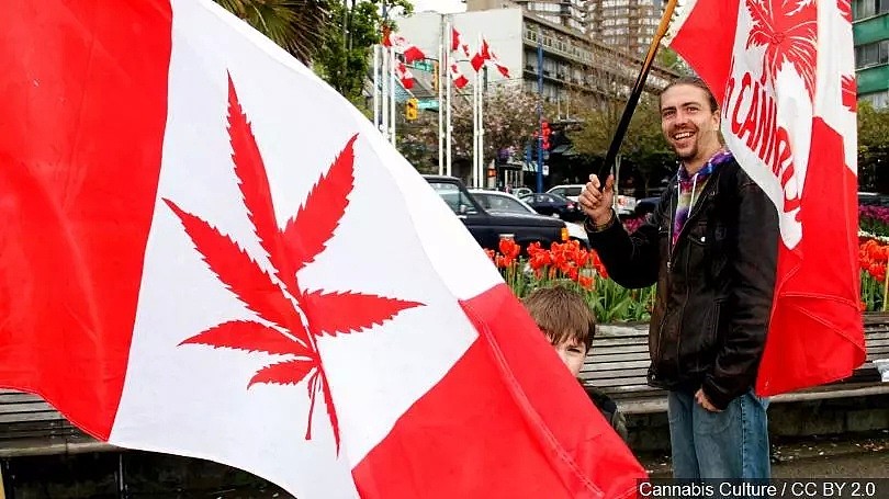 加拿大大麻也合法了，居然还能送货上门（图） - 1