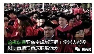 在哈佛校园，华人终于发出了怒吼！歧视背后的辛酸谁能知？（组图） - 1