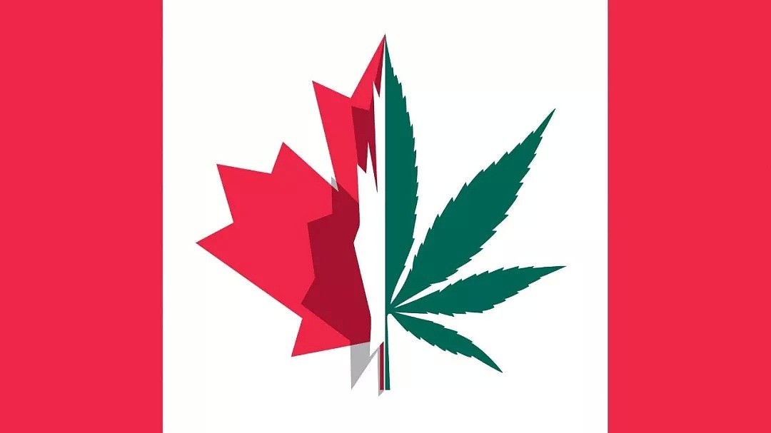 加拿大大麻合法化了，中国竟也有人在鼓动毒品合法？！（组图） - 9