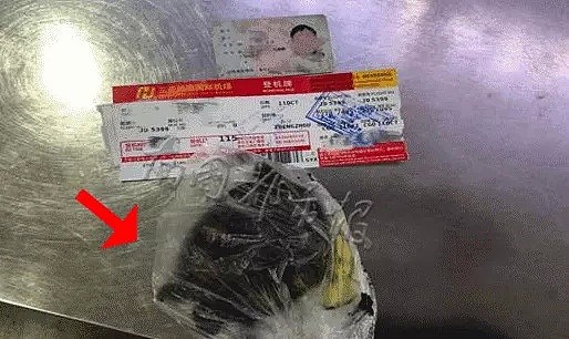 男子过海关被截，随身竟携带一整只烤猪头！裤中藏龟，嘴含蝌蚪，这不是机场，这分明是动物世界！（视频/组图） - 4