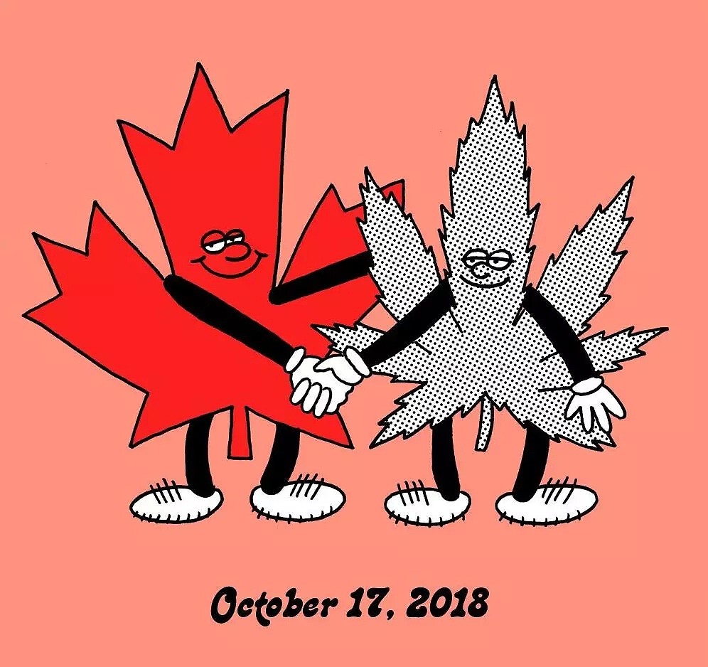 加拿大大麻合法化，整个国家都吸嗨了...（组图） - 20