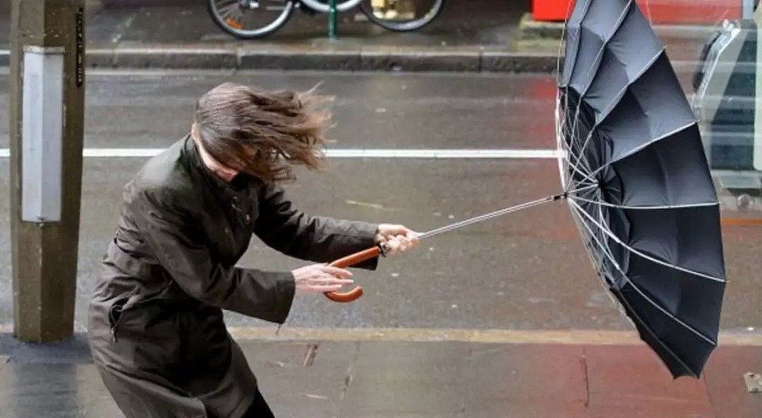 悉尼人注意！雷暴席卷全城，已有人被雷劈死！飓风、暴雨、冰雹，这个周末注意安全！（视频/组图） - 14