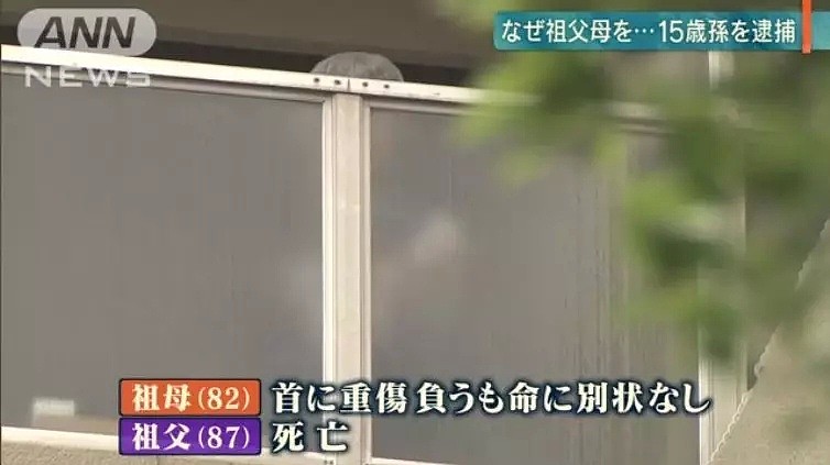简直疯狂！日本15岁中学生杀了自己爷爷奶奶，动机竟然是为了准备杀另一波人…（组图） - 2