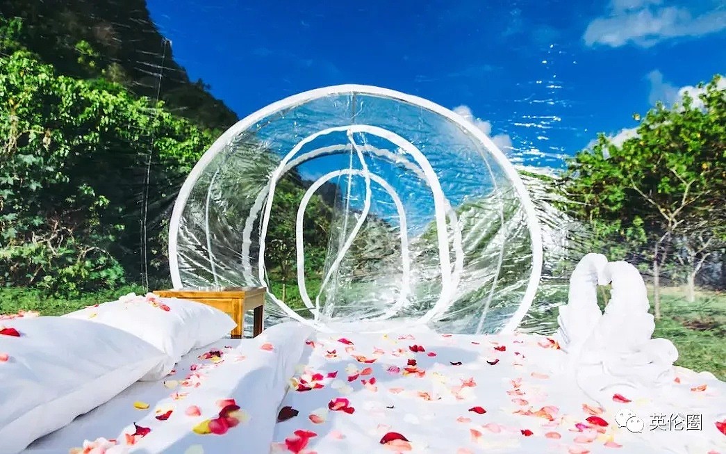 全球8大泡泡酒店，澳洲“充气泡泡”上榜！ 住一晚就拥有整个星空（组图） - 35
