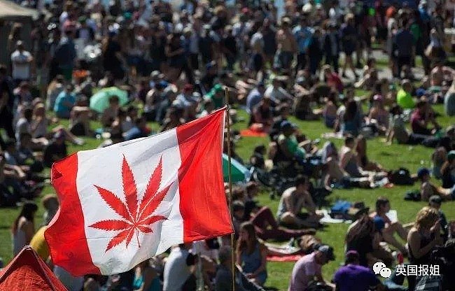 大麻合法化后，加拿大真的变毒窟了？！（组图） - 1
