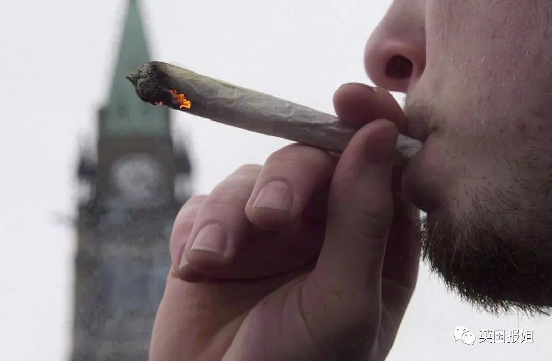大麻合法化后，加拿大真的变毒窟了？！（组图） - 10