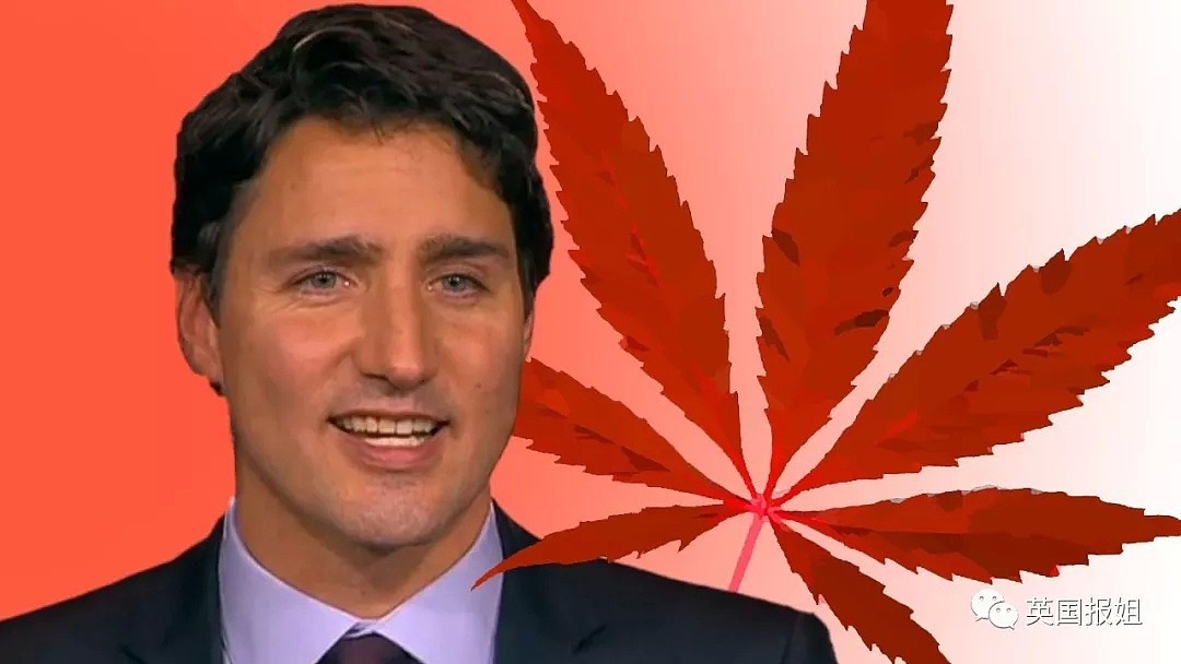 大麻合法化后，加拿大真的变毒窟了？！（组图） - 15