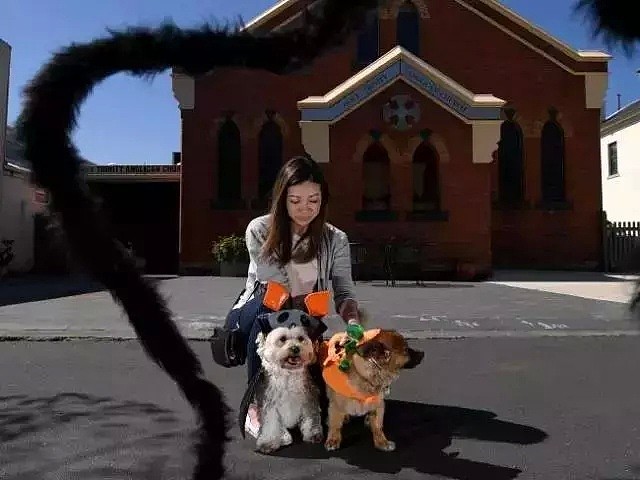 万圣节墨尔本游玩好去处一览！不怕找不到鬼！就怕你不来！ - 26