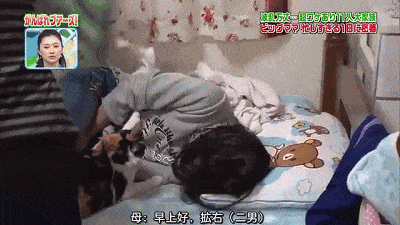 日本一撑起11人家庭的超级妈妈，她是这么过日子的…网友接受不了！（视频/组图） - 39