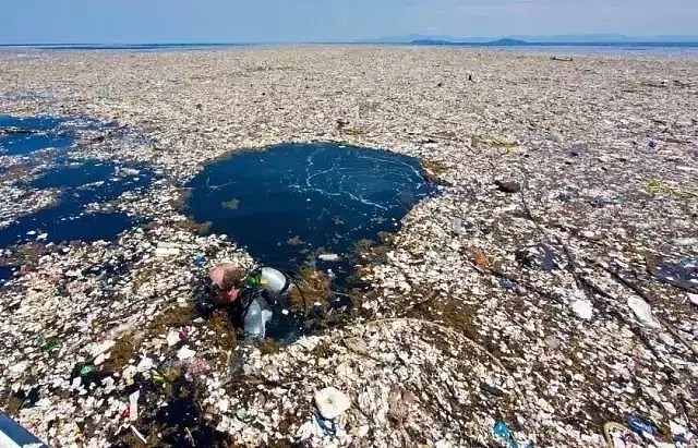 科学家警告！食盐、自来水、海鲜，就连人体都被污染了，你一年可能吃了上万块塑料！（组图） - 3