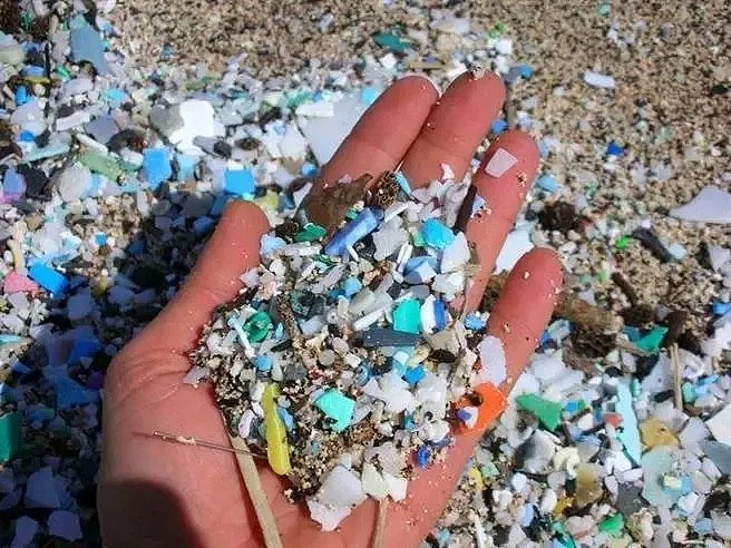 科学家警告！食盐、自来水、海鲜，就连人体都被污染了，你一年可能吃了上万块塑料！（组图） - 30