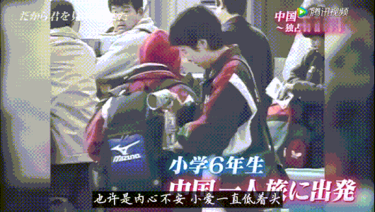 日本人跟拍福原爱24年的神作，戳痛多少中国父母（视频/组图） - 27