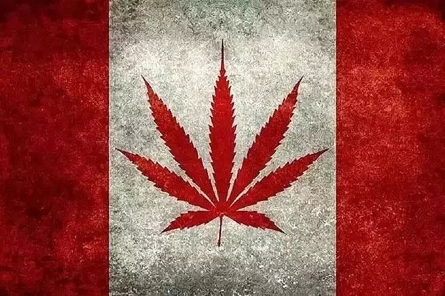 联合国发文谴责加拿大让大麻合法化！飞中国入境可能要被验尿抽血了？！（组图） - 2