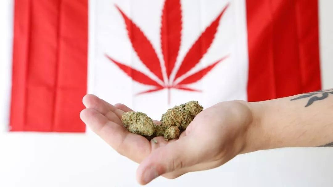 联合国发文谴责加拿大让大麻合法化！飞中国入境可能要被验尿抽血了？！（组图） - 10