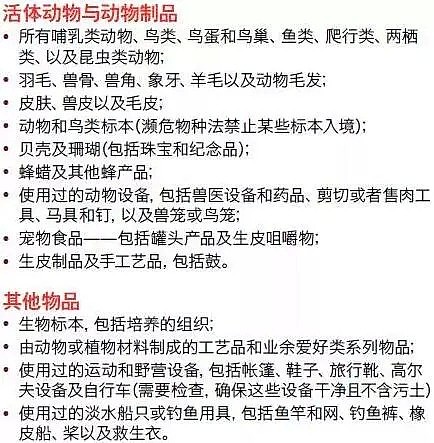 中国女留学生刚下飞机就被澳洲海关拦下！土特产、好吃的统统没收，还有巨额罚款... - 71