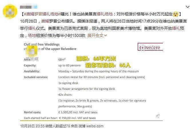 中国游客误拍唐嫣婚礼被要求检查手机，外国人任拍不管（组图） - 4