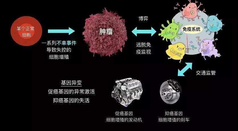 李咏妻子发了551个“早安”，原因泪崩！比癌症更可怕的是它……（组图） - 13