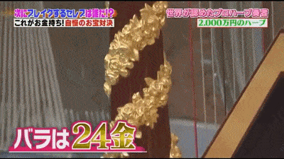 王思聪的狗算什么？日本土豪展示了自己给汪星人买的550万日元的钻石项链（组图） - 20