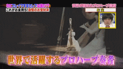 王思聪的狗算什么？日本土豪展示了自己给汪星人买的550万日元的钻石项链（组图） - 21