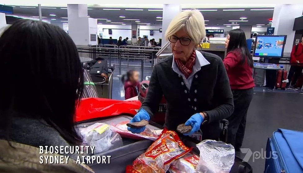又抓现行！中国小姐姐澳洲机场被拦下！就因为包里装了这货…还上了电视台！（视频/组图） - 3