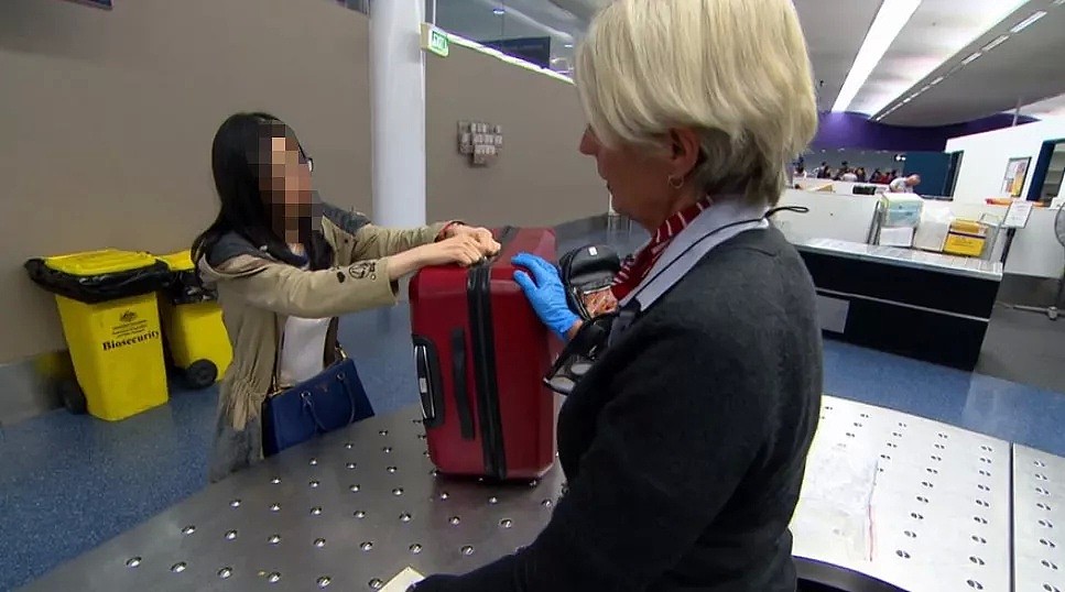 又抓现行！中国小姐姐澳洲机场被拦下！就因为包里装了这货…还上了电视台！（视频/组图） - 20