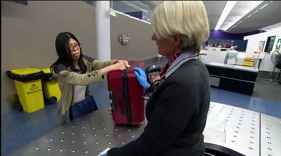 中国女留学生在悉尼机场被拦下，行李箱一打开，海关人员全傻眼了！（组图） - 27