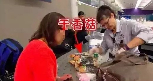 中国女留学生在悉尼机场被拦下，行李箱一打开，海关人员全傻眼了！（组图） - 33