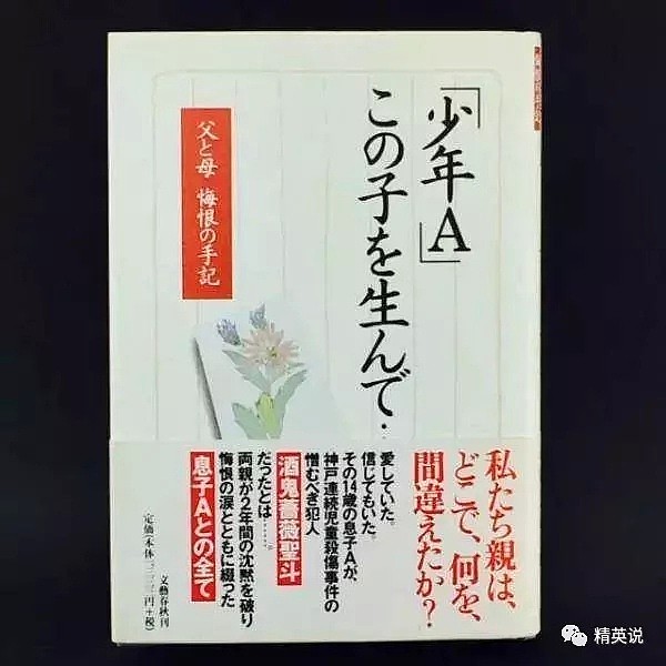 英国10岁男孩杀死2岁幼儿轰动媒体：当儿童变成杀人犯，到底该不该被惩罚？（组图） - 16