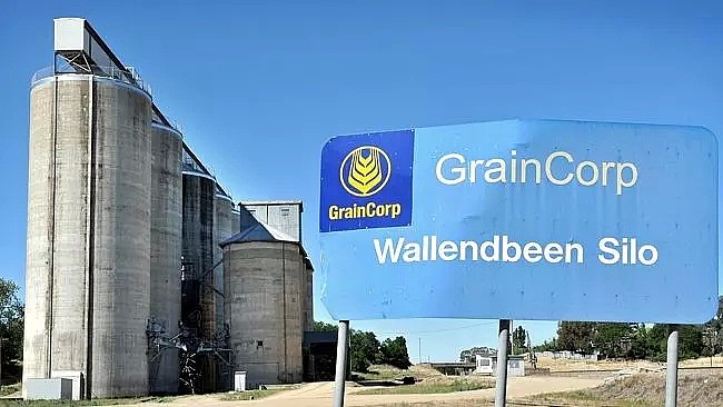 澳大利亚东部农作物严重歉收 GrainCorp计划裁员 - 1