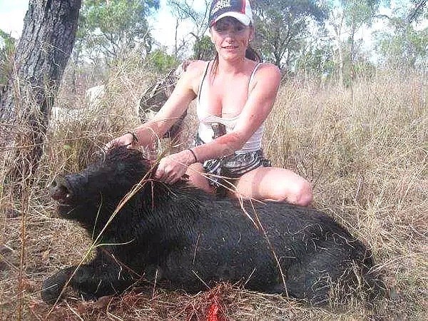 澳洲野猪泛滥，政府悬赏杀猪！10吨野猪拿来喂鳄鱼！网友：“缺个中国厨师！”（组图） - 20