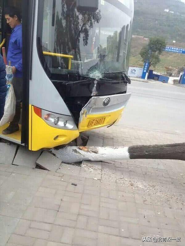 重庆坠江同路公交车，曾两次遭乘客抢夺方向盘致事故