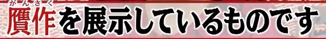 日本艺术家被国内抄袭后露面！她说的这番话让每个中国人都面红耳赤（组图） - 31