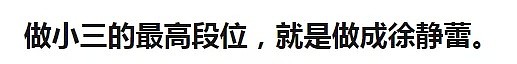 徐静蕾告白很甜？做小三的最高段位，就是做成她这样的吧（组图） - 18