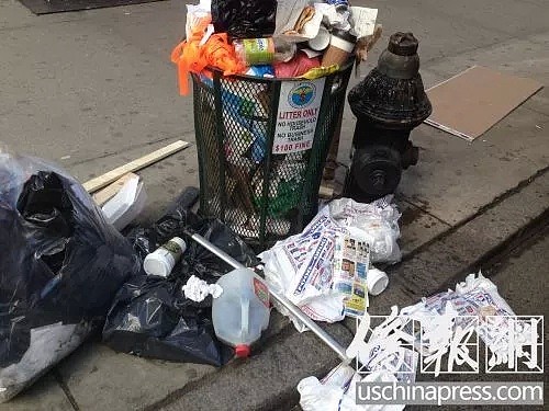 华人父母移民来澳，就为让他们翻垃圾桶？网友: 不丢脸！ - 9