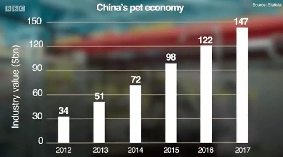 外媒：中国人的狗养尊处优,每年为一条狗花1万（组图） - 9