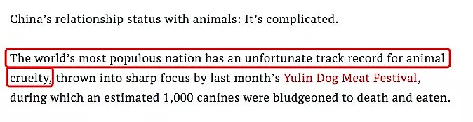 外媒：中国人的狗养尊处优,每年为一条狗花1万（组图） - 17