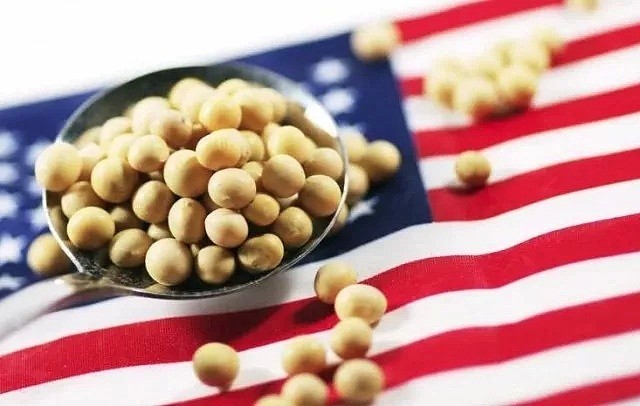 美国大豆对华出口严重下滑 价格跌至冰点 - 1