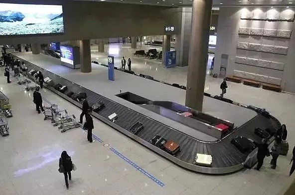 丢脸！中国妹子在机场偷行李箱被捕！专挑贵的，还偷中国游客！（视频/组图） - 7