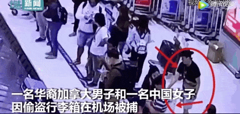 丢脸！中国妹子在机场偷行李箱被捕！专挑贵的，还偷中国游客！（视频/组图） - 9