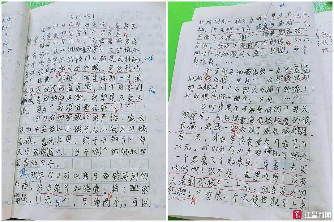 小学生作文《可怜啊》走红 哀叹每天才5毛零花钱（组图） - 1