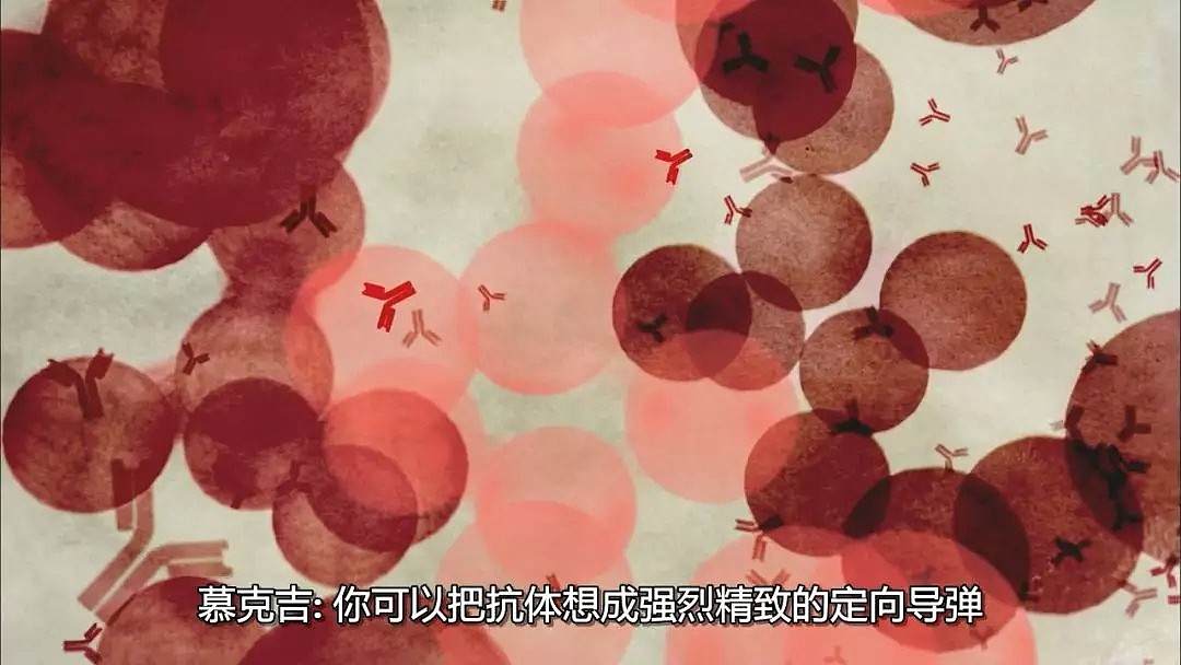 中国人谈之色变的癌症真相，都被这部罕见美国纪录片无情揭露…（组图） - 32