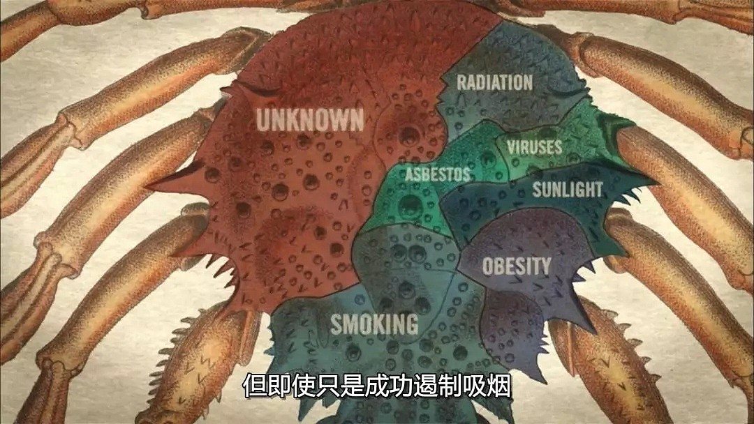 中国人谈之色变的癌症真相，都被这部罕见美国纪录片无情揭露…（组图） - 49